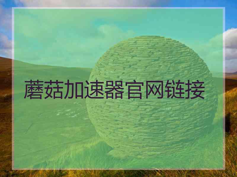 蘑菇加速器官网链接