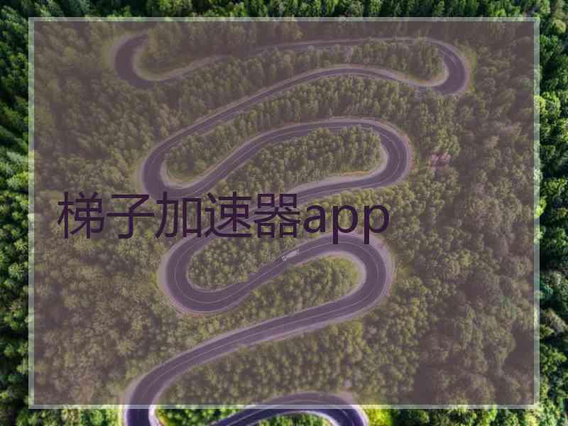 梯子加速器app