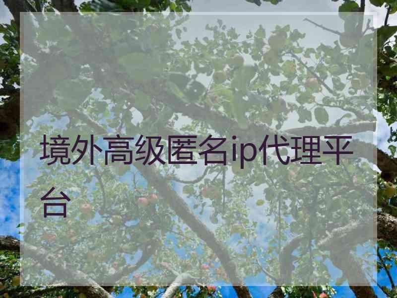 境外高级匿名ip代理平台