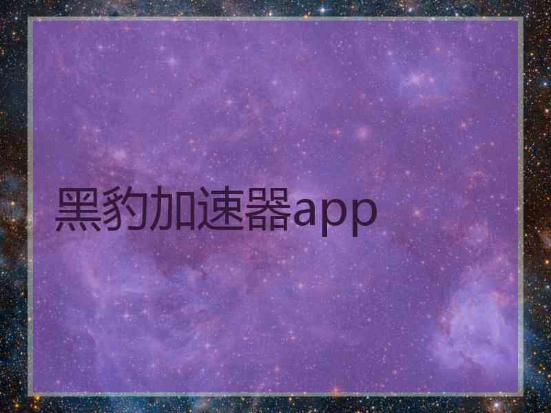 黑豹加速器app