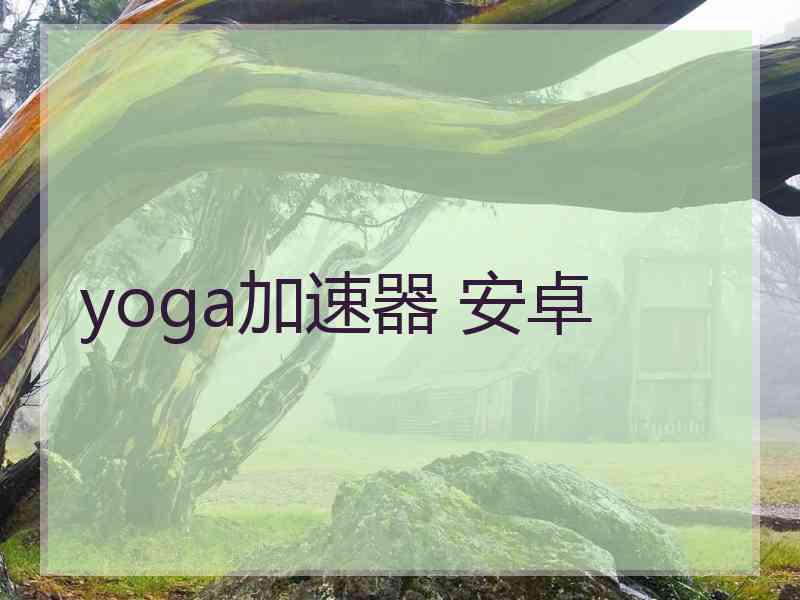 yoga加速器 安卓