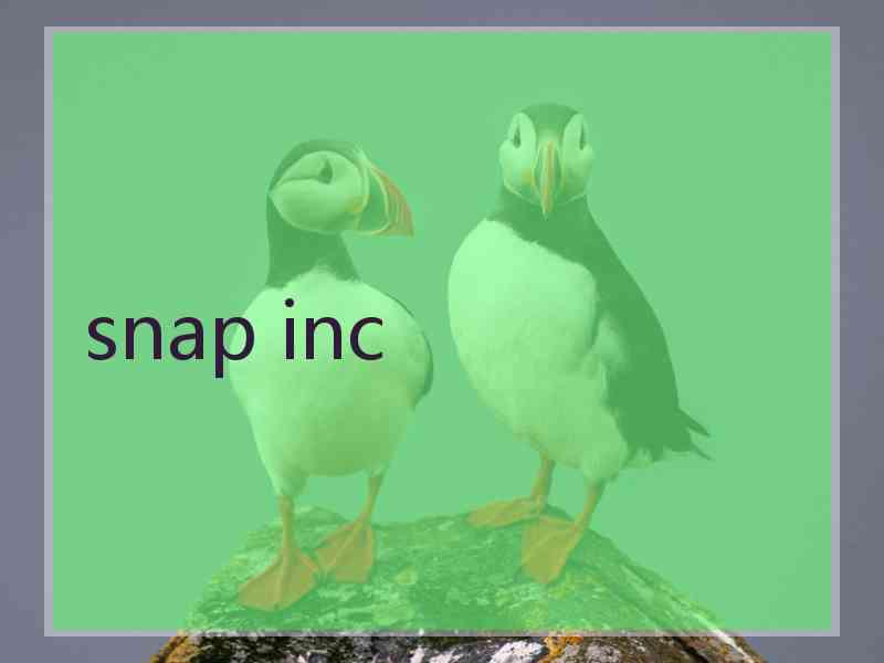 snap inc