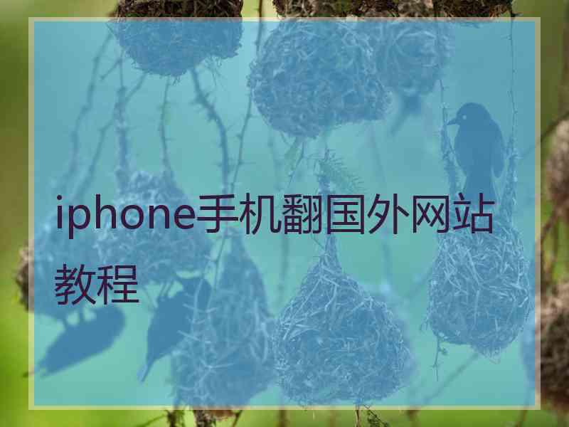 iphone手机翻国外网站教程