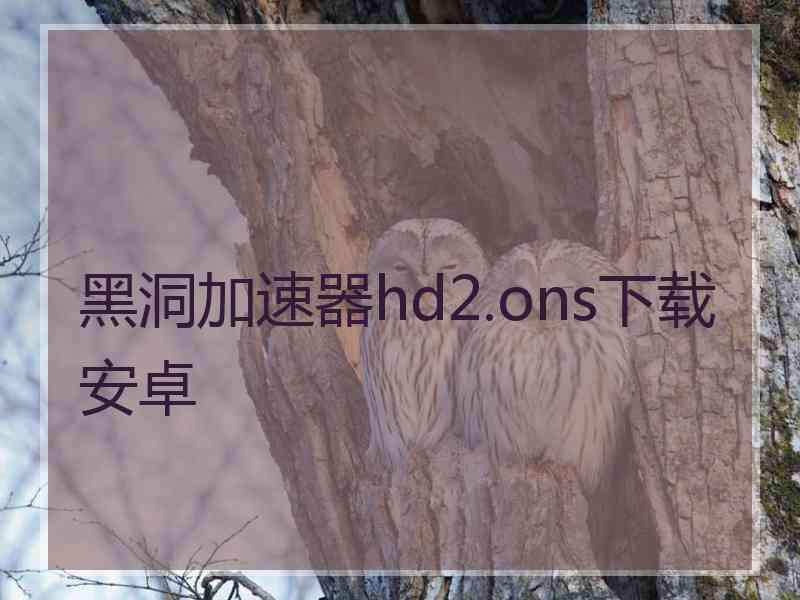 黑洞加速器hd2.ons下载安卓