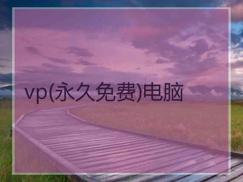 vp(永久免费)电脑