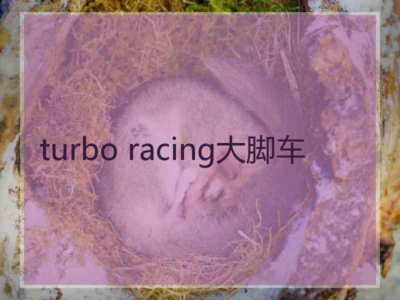 turbo racing大脚车