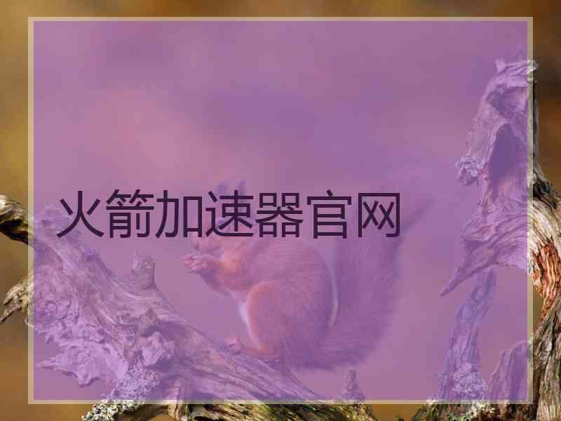 火箭加速器官网