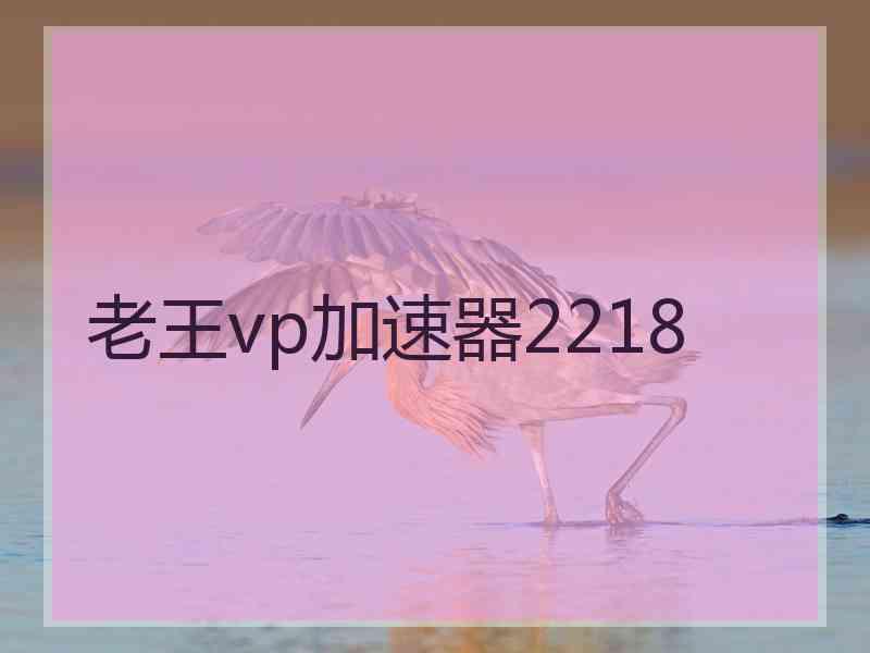 老王vp加速器2218