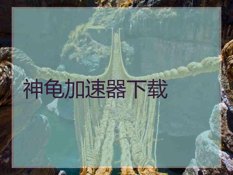 神龟加速器下载