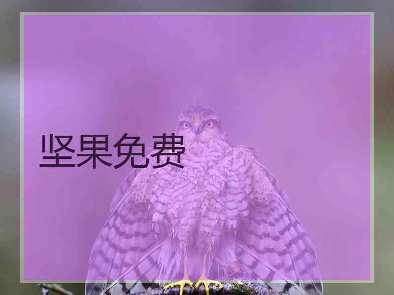 坚果免费