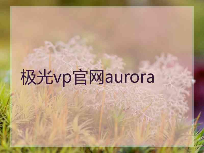 极光vp官网aurora