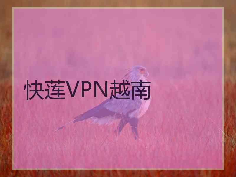 快莲VPN越南