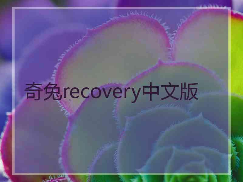 奇兔recovery中文版