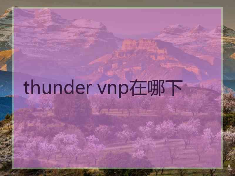 thunder vnp在哪下