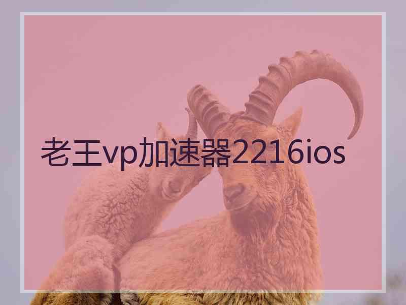 老王vp加速器2216ios