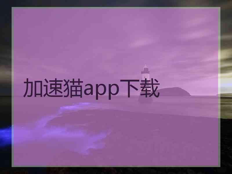 加速猫app下载