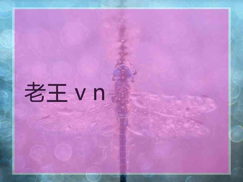 老王 v n