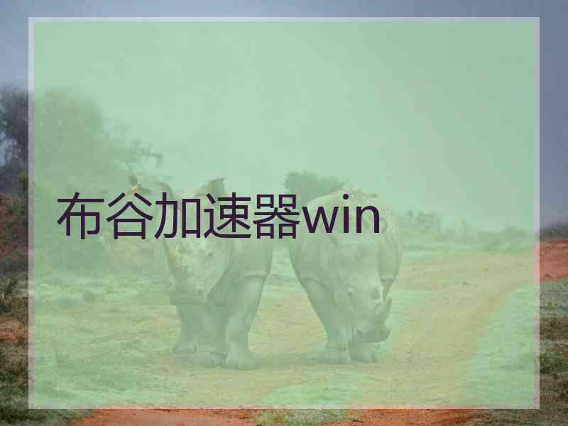 布谷加速器win