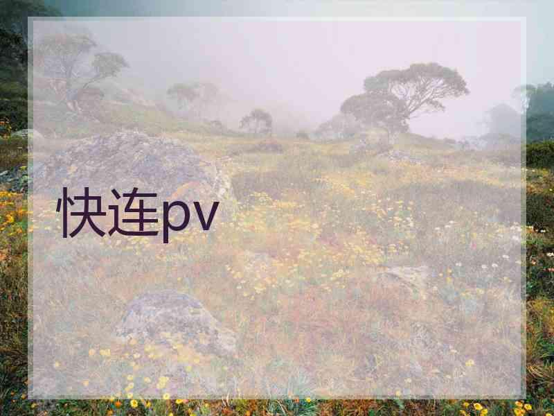 快连pv