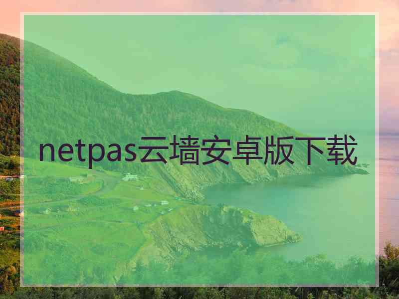 netpas云墙安卓版下载