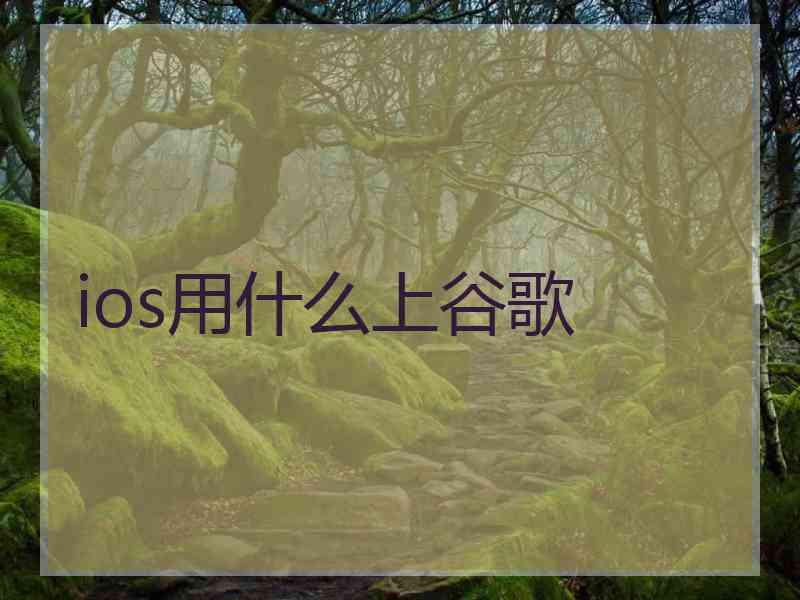 ios用什么上谷歌