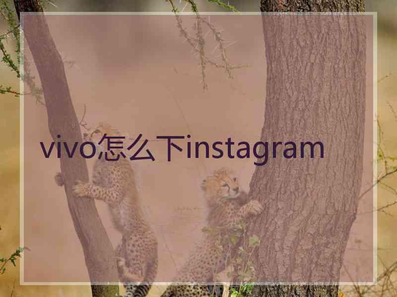 vivo怎么下instagram