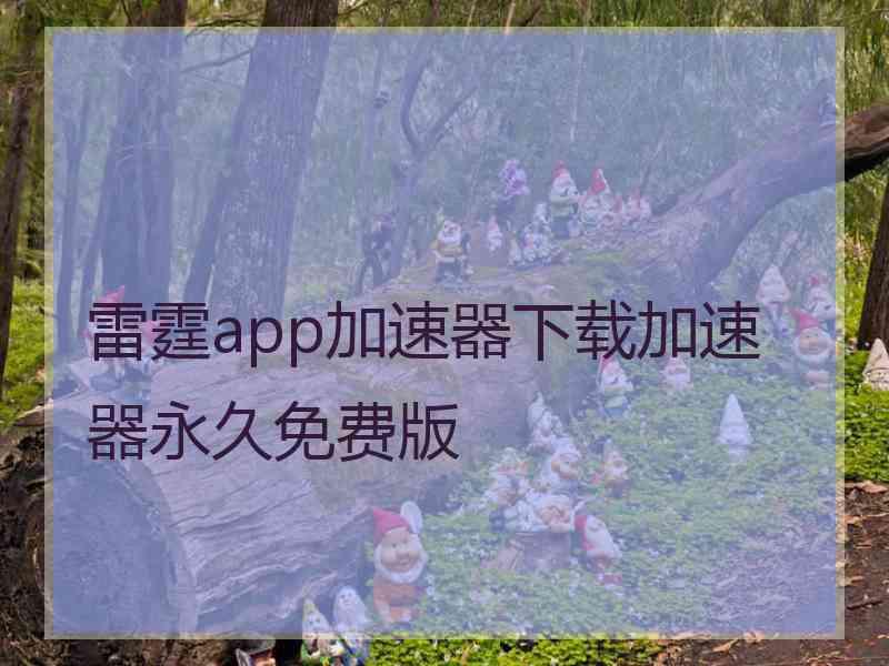 雷霆app加速器下载加速器永久免费版