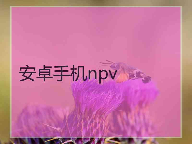 安卓手机npv